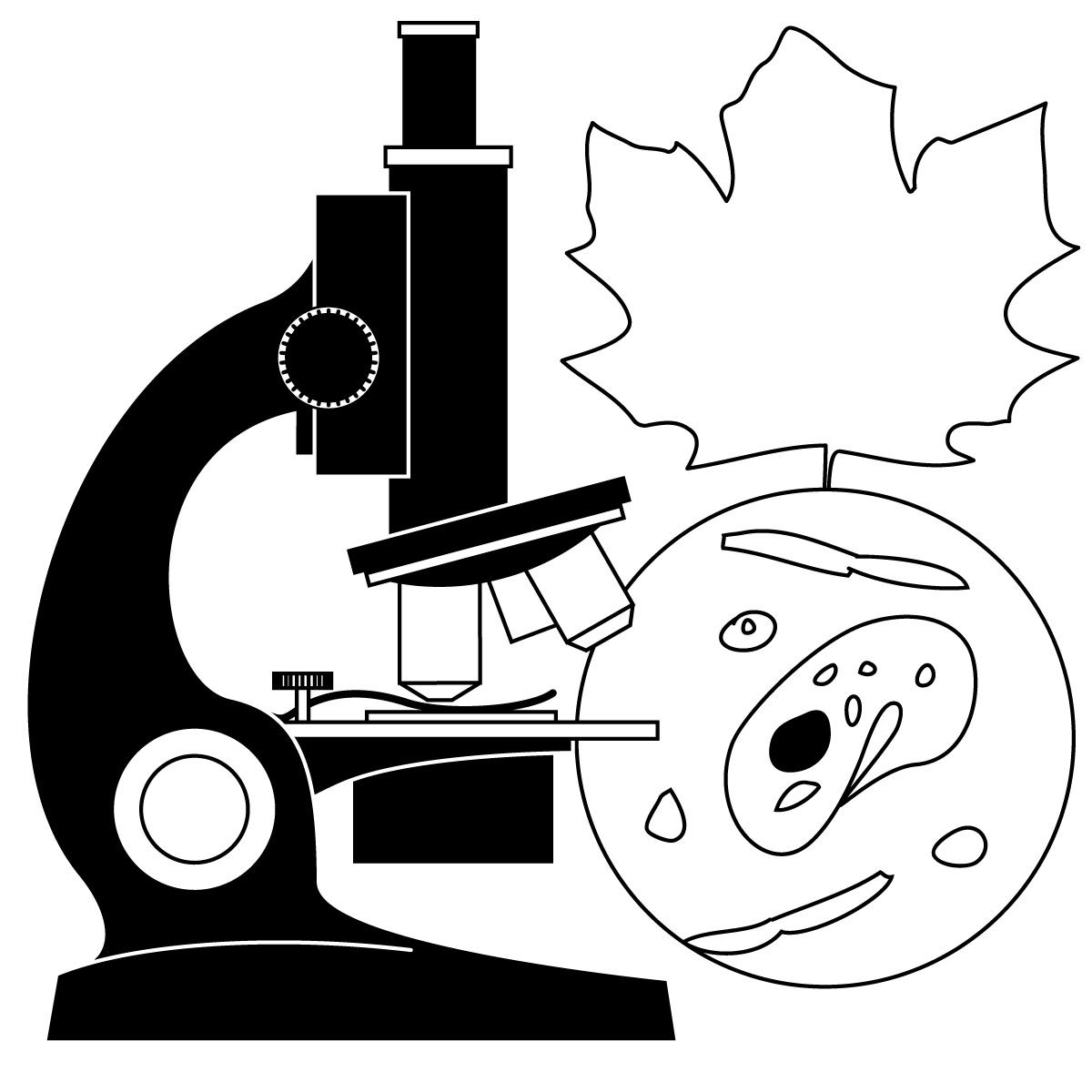 Clip art school science clipart