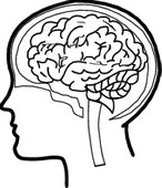 Brain Clip Art Pictures – Clipartix