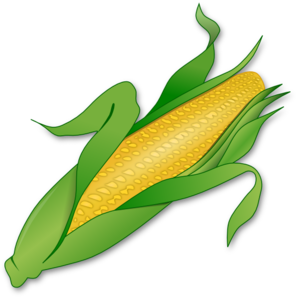 Corn clip art at clker vector clip art free