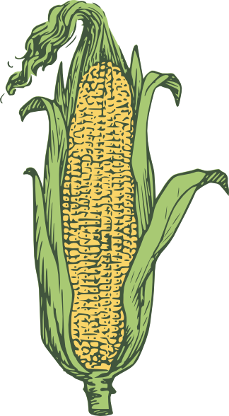 Corn clip art at vector clip art free 2 clipartbold