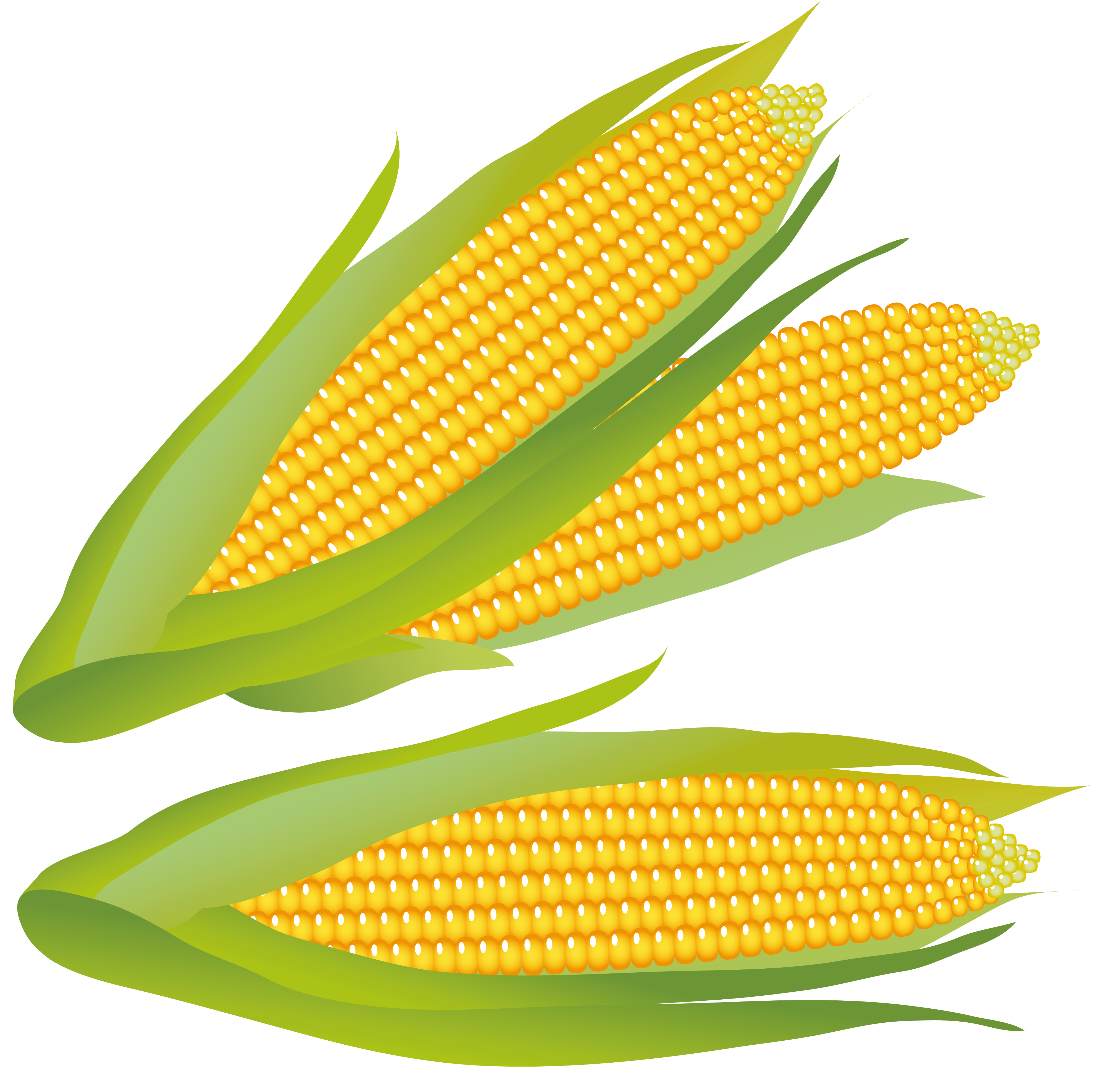 Corn clip art free free clipart images 4