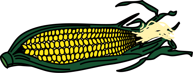 Corn clip art vector free for download clipart clipart clipartcow