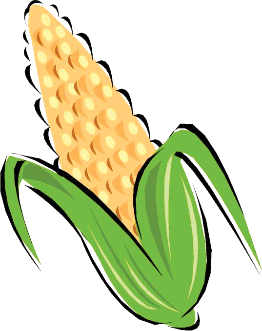 Corn clipart 4