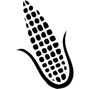 Corn clipart 7