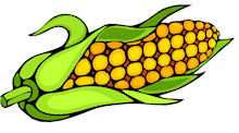 Corn clipart clipart cliparts for you 3