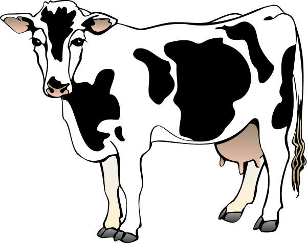 Cow clip art images free clipart images