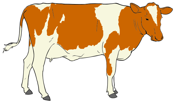 Cow free to use clipart 2