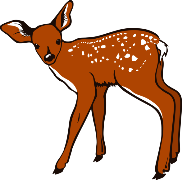 Cute baby deer clipart free clipart images 2