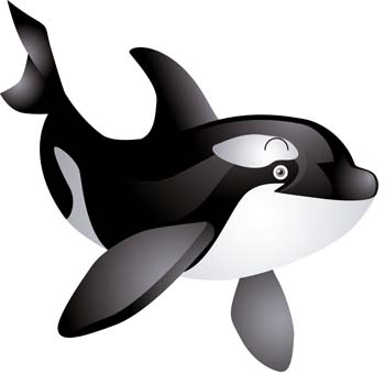 Cute killer whale clip art dromgbm top 2