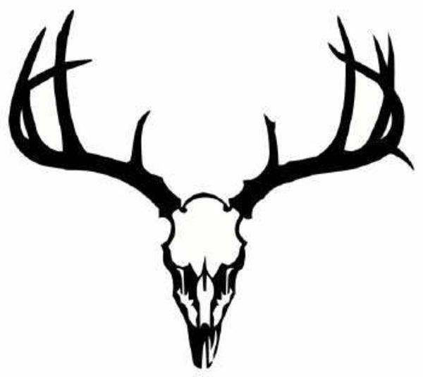 Dear skull deer skull image vector clip art