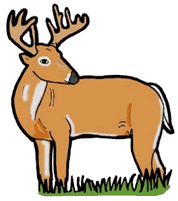 Deer clip art pictures free clipart images 2