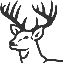 Deer clip art pictures free clipart images