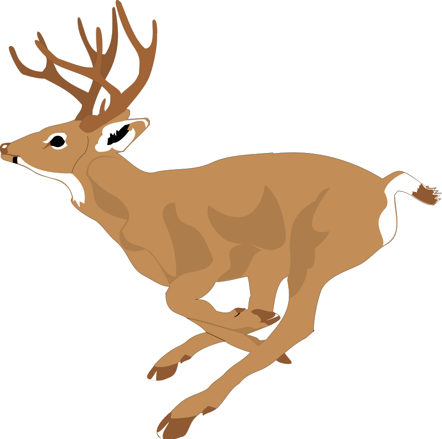 Deer clipart 2