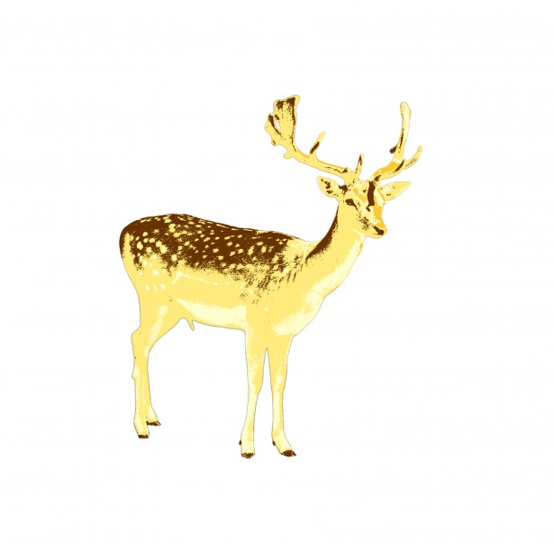 Deer clipart free stock photo public domain pictures
