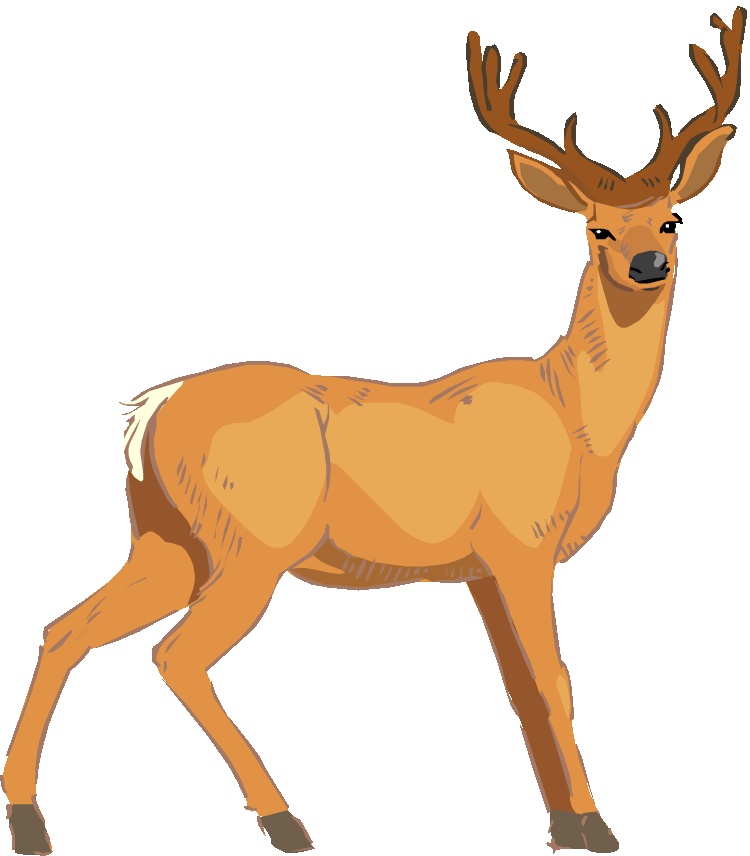 Deer vector art clipart clipartcow