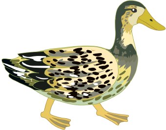 Duck clip art 2