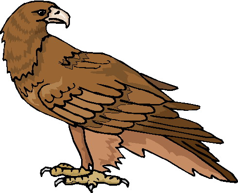 Eagle clipart black and white free clipart images