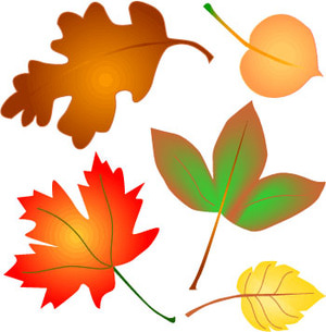 Fall leaves images for fall leaf clipart image 2