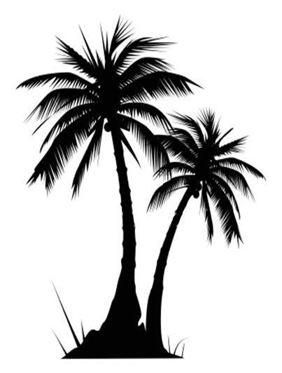 Florida palm trees palm trees clipart mylocalguide site