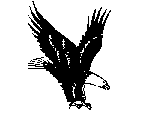Flying eagle free clip art 3