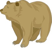 Bear Clip Art Pictures – Clipartix