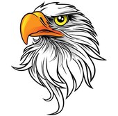 Eagle Clip Art Pictures – Clipartix