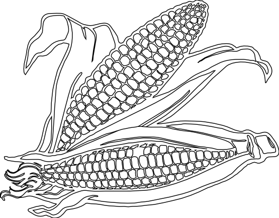 Free corn clipart coloring pages 2