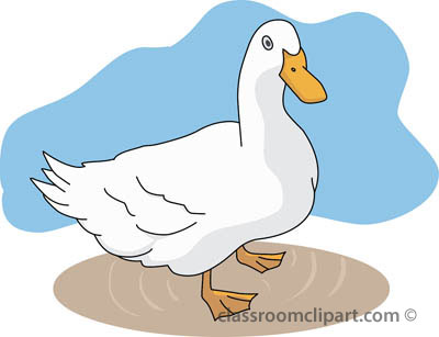 Free duck clipart clip art pictures graphics illustrations 3