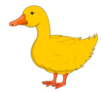Free duck clipart clip art pictures graphics illustrations