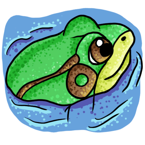 Free frog clip art drawings and colorful images 4