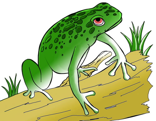 Free frog clip art to download frog 3