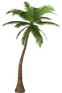 Free high resolution graphics and clip art palm tree places