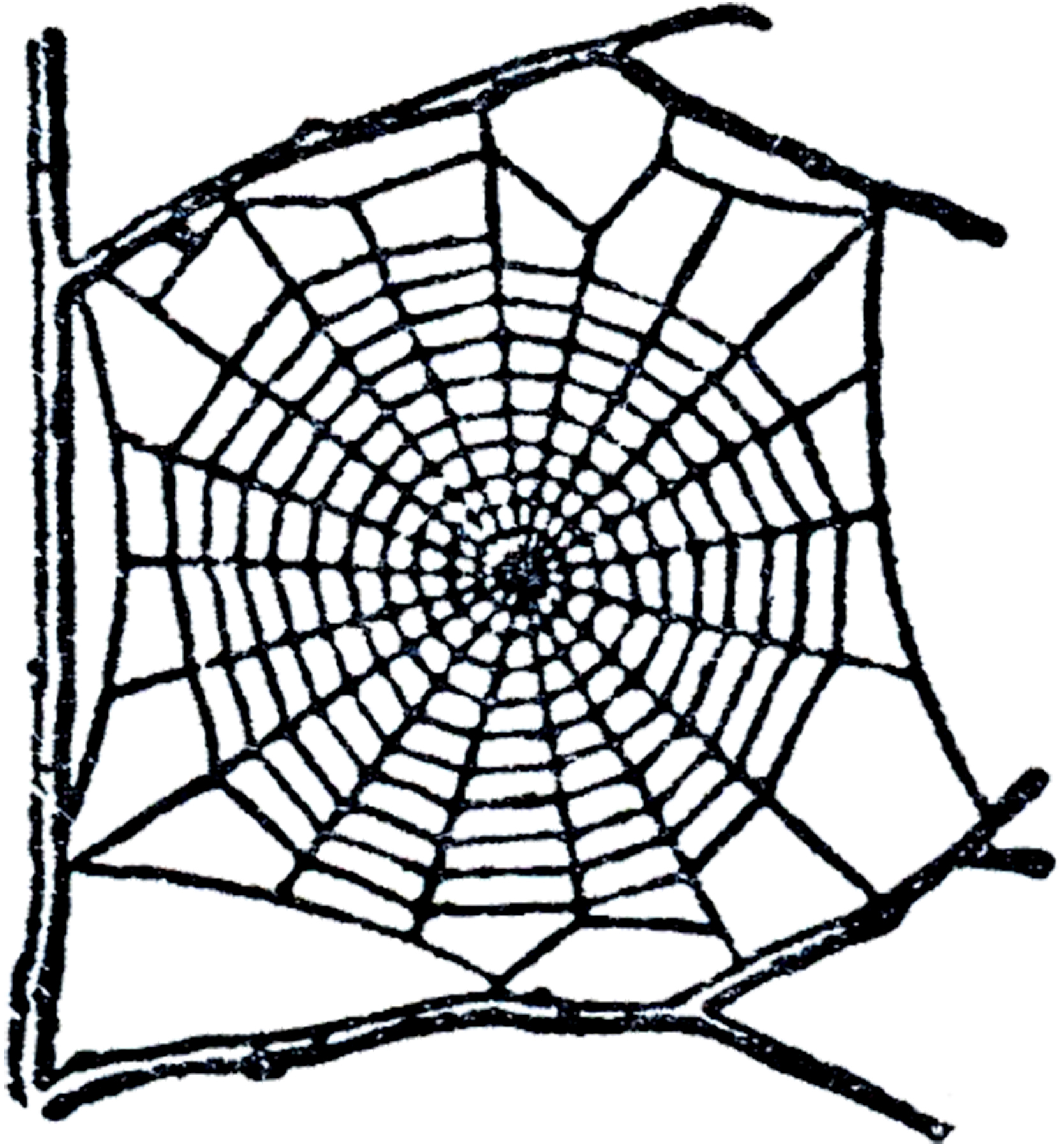 Free spider web clip art the graphics fairy