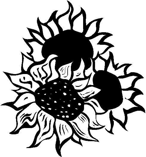 Free sunflower clip art images dromgab top 2