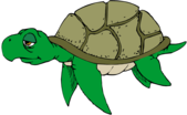 Cute turtle clipart classroom theme ideas 2 - Clipartix