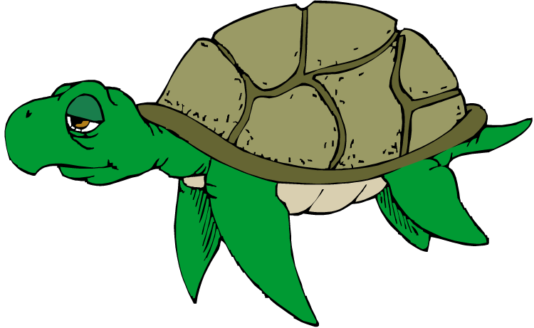 Free turtle clipart 2