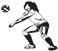 Free volleyball players clipart