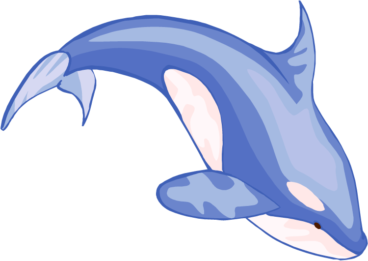 Free whale clipart 3