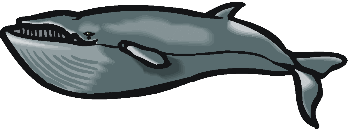Free whale clipart