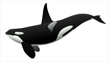 Free whales clipart free clipart graphics images and photos 3