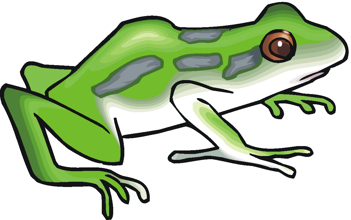 Frog clip art images free clipart images clipartcow