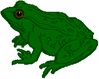 Frog clipart 4