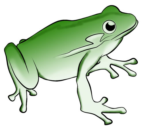 Frog clipart clipart cliparts for you 2
