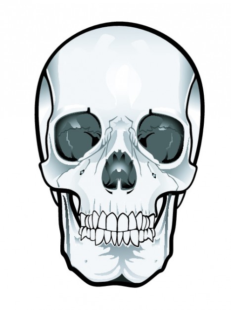 Frontal skull clipart vector free download