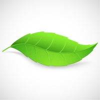 Green leaf clipart free vector for free download about free 2