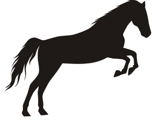 Horse black colt clipart 2