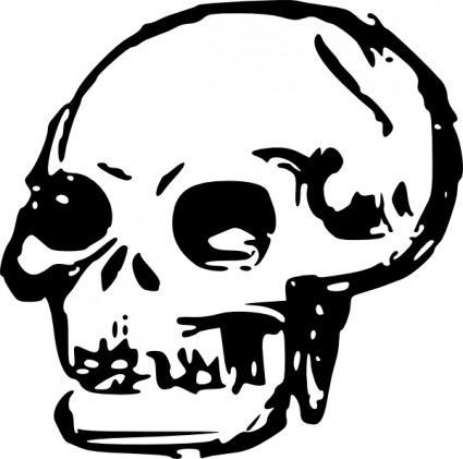 Human skull clip art free vector in open office drawing svg svg