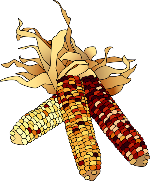 Indian corn clipart