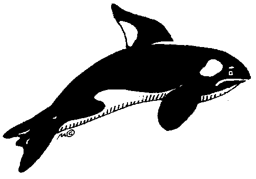 Killer whale clipart black and white dromgcb top 2
