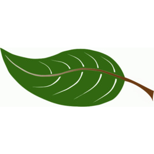 Leaf animated leaves clipart image clipartbold